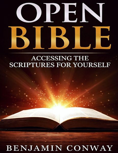 Produktbild: Open Bible