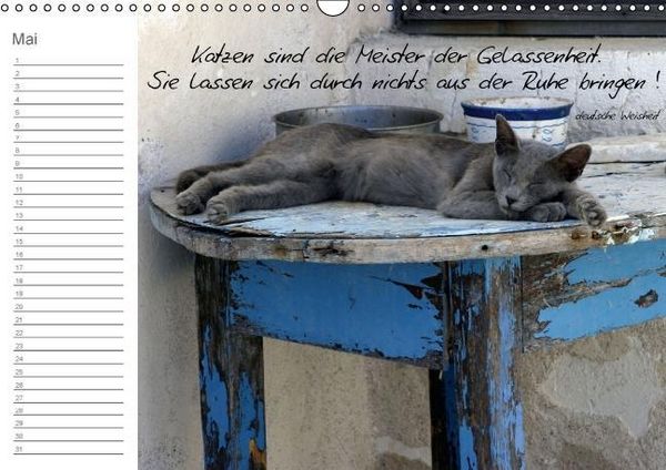 Produktbild: Befl&uuml;gelt (Wandkalender immerw&auml;hrend DIN A3 quer)