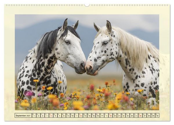 Produktbild: Knabstrupper Poesie. Gescheckte Eleganz im Farmsommer (hochwertiger Premium Wandkalender 2027 DIN A2 quer), Kunstdruck in Hochglanz