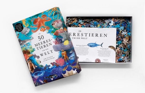 Produktbild: In 50 Meerestieren um die Welt