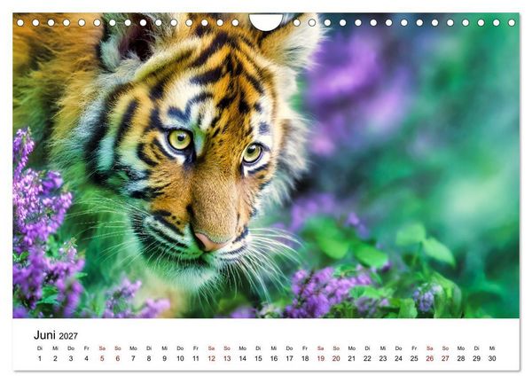 Produktbild: Wild.Edel.Stark. - Im Bann der Tiger (Wandkalender 2027 DIN A4 quer), CALVENDO Monatskalender