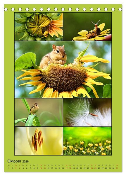 Produktbild: Farbsymphonien der Natur (Tischkalender 2026 DIN A5 hoch), CALVENDO Monatskalender