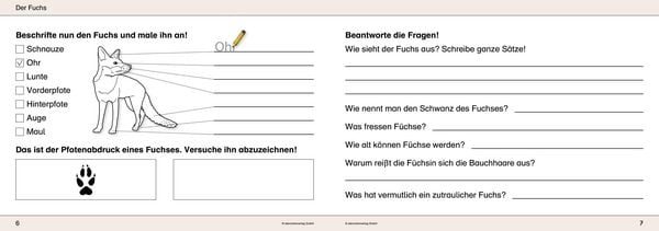Produktbild: Ich kenne Waldtiere / Haus- und Hoftiere / Insekten und Spinnen. 3 Schülerarbeitshefte im Kombi für die 2. bis 4. Klasse