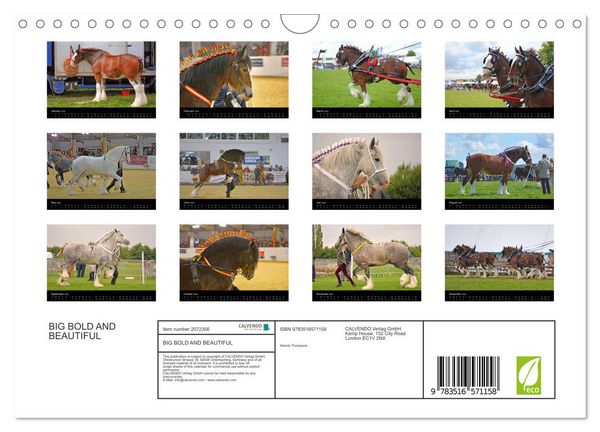 Produktbild: BIG BOLD AND BEAUTIFUL (Wall Calendar 2026 DIN A4 landscape), CALVENDO 12 Month Wall Calendar
