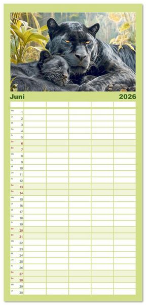 Produktbild: Familienplaner 2026 - Schwarze Panther. Geheimnisvolle Schatten der Wildnis mit 5 Spalten (Wandkalender, 21 x 45 cm) CALVENDO