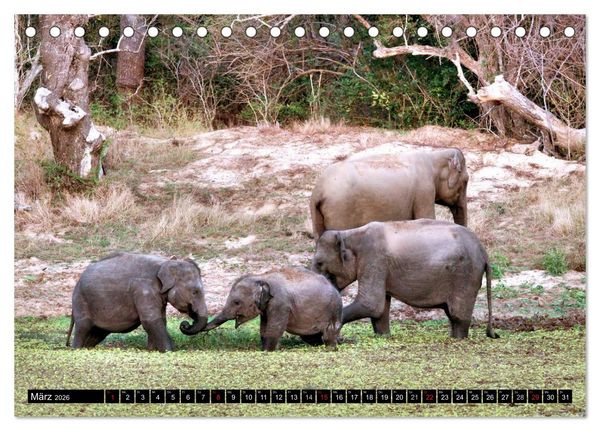 Produktbild: Sri Lanka - Highlights (Tischkalender 2026 DIN A5 quer), CALVENDO Monatskalender