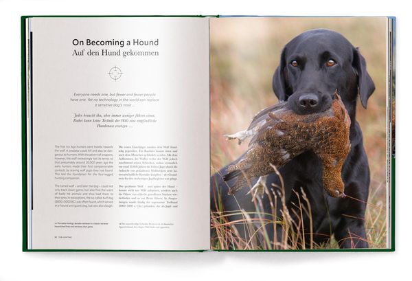 Produktbild: Jagd - Das ultimative Buch