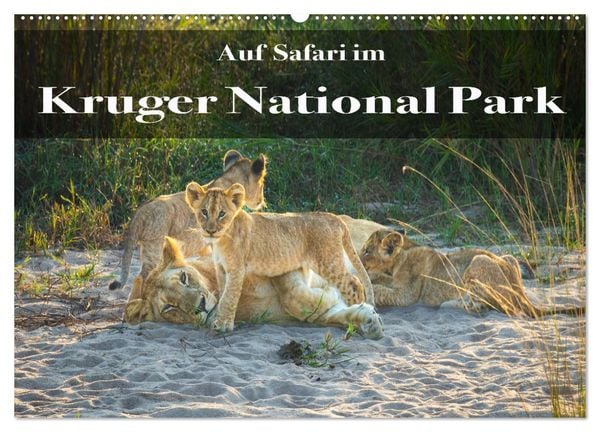 Auf Safari im Kruger National Park (Wandkalender 2025 DIN A2 quer), CALVENDO Monatskalender