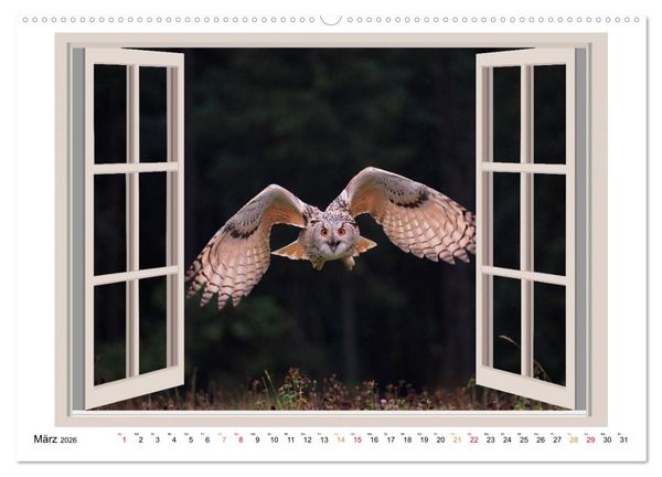 Produktbild: Fenstergucker - tierische Freunde an der Wand (Wandkalender 2026 DIN A2 quer), CALVENDO Monatskalender