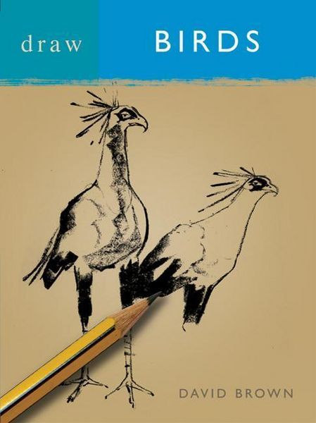 Produktbild: Draw Birds Rev/e 4/e