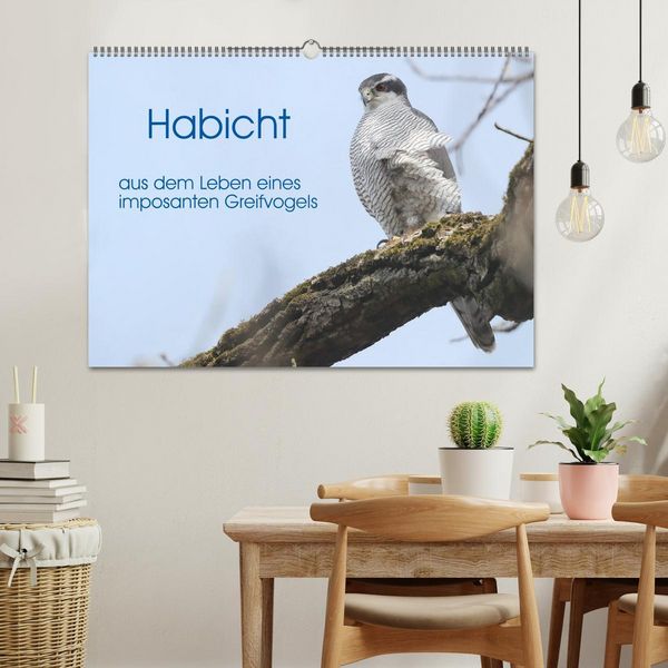 Produktbild: Habicht - aus dem Leben eines imposanten Greifvogels (Wandkalender 2026 DIN A2 quer), CALVENDO Monatskalender