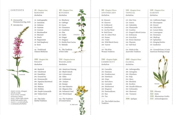 Produktbild: Die ganze Welt der Heilpflanzen