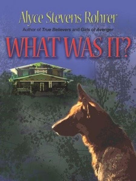 Produktbild: What Was It?
