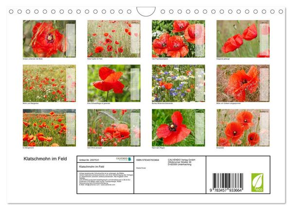 Produktbild: Klatschmohn im Feld (Wandkalender 2026 DIN A4 quer), CALVENDO Monatskalender