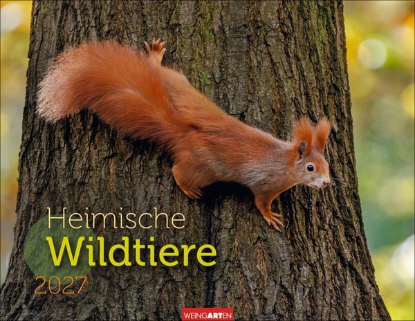Produktbild: Heimische Wildtiere Kalender 2027
