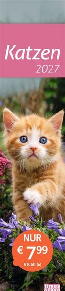 Produktbild: times&more Katzen Langplaner 2027