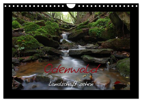 Produktbild: Odenwald - Landschaft sehen (Wandkalender 2026 DIN A4 quer), CALVENDO Monatskalender