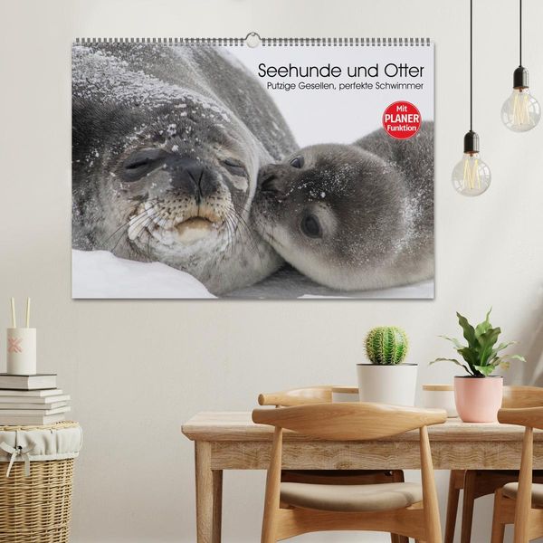 Produktbild: Seehunde und Otter. Putzige Gesellen, perfekte Schwimmer (Wandkalender 2026 DIN A2 quer), CALVENDO Monatskalender