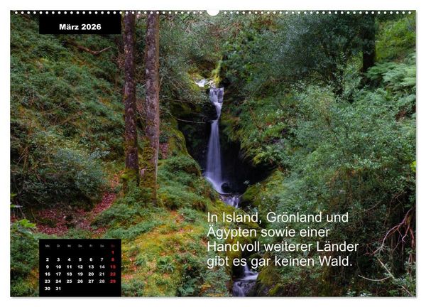Produktbild: Schlaumeier-Kalender - Thema: Wald (Wandkalender 2026 DIN A2 quer), CALVENDO Monatskalender