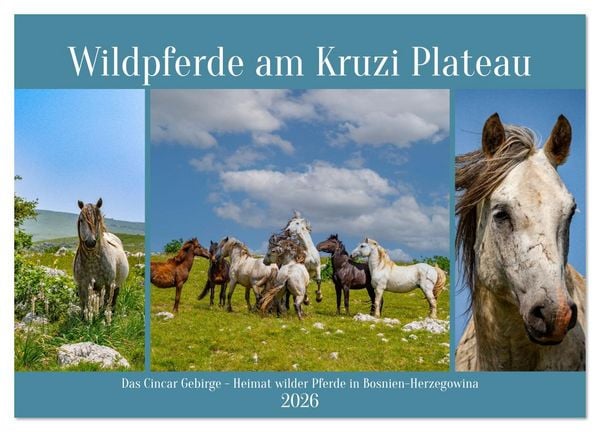 Produktbild: Wildpferde am Kruzi Plateau (Wandkalender 2026 DIN A3 quer), CALVENDO Monatskalender