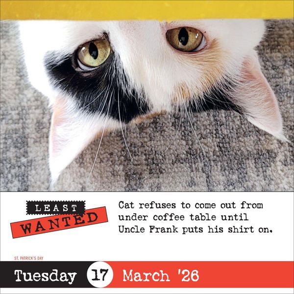 Produktbild: Bad Cat Page-A-Day(r) Calendar 2026