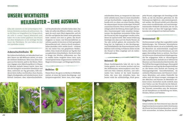 Der Selbstversorger: Mein Gartenwissen