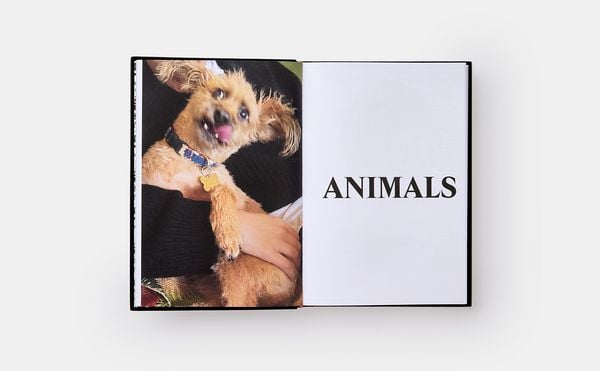 Produktbild: Palace Product Descriptions, The Selected Archive