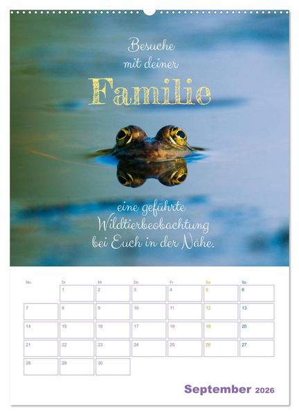 Produktbild: Tierische Challenges: F&uuml;r mehr Bewusstsein und mehr Tierschutz (Wandkalender 2026 DIN A2 hoch), CALVENDO Monatskalender