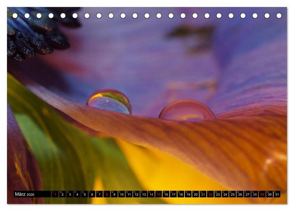 Produktbild: Wassertropfen - Diamanten des Lebens (Tischkalender 2026 DIN A5 quer), CALVENDO Monatskalender