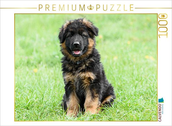 CALVENDO Puzzle Schäferhund - Welpe Langstockhaar | 1000 Teile Lege-Größe 64x48cm Foto-Puzzle für glückliche Stunden