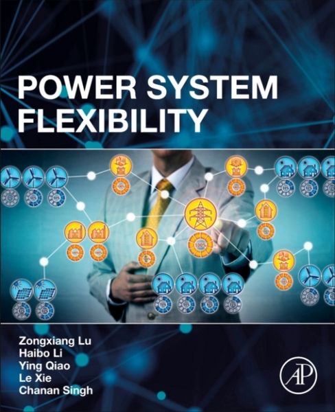 Produktbild: Power System Flexibility