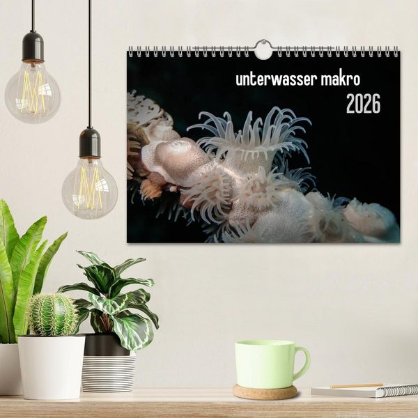 Produktbild: unterwasser makro 2026 (Wandkalender 2026 DIN A4 quer), CALVENDO Monatskalender