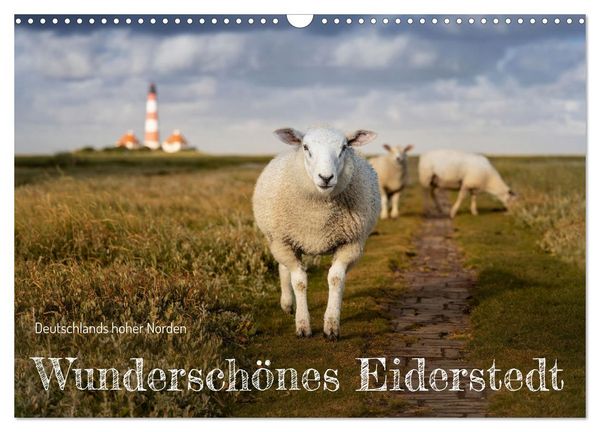 Produktbild: Wundersch&ouml;nes Eiderstedt (Wandkalender 2026 DIN A3 quer), CALVENDO Monatskalender