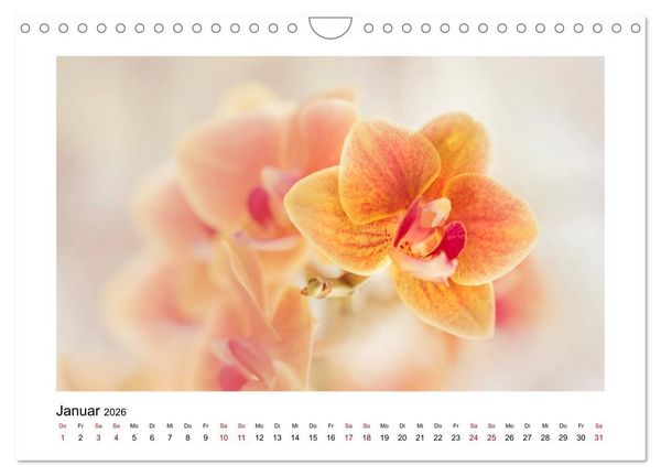Produktbild: Oranger Bl&uuml;tentraum (Wandkalender 2026 DIN A4 quer), CALVENDO Monatskalender