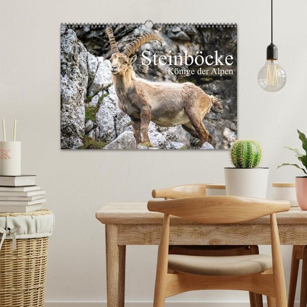 Produktbild: Steinb&ouml;cke - Majest&auml;tische Tiere der Alpen (Wandkalender 2026 DIN A3 quer), CALVENDO Monatskalender
