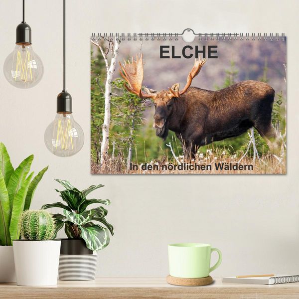 Produktbild: ELCHE In den n&ouml;rdlichen W&auml;ldern (Wandkalender 2026 DIN A4 quer), CALVENDO Monatskalender