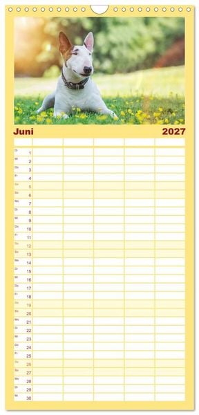 Produktbild: Familienplaner 2027 - Bullterrier mit 5 Spalten (Wandkalender, 21 x 45 cm) CALVENDO