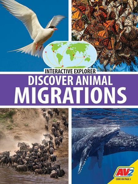 Produktbild: Discover Animal Migrations