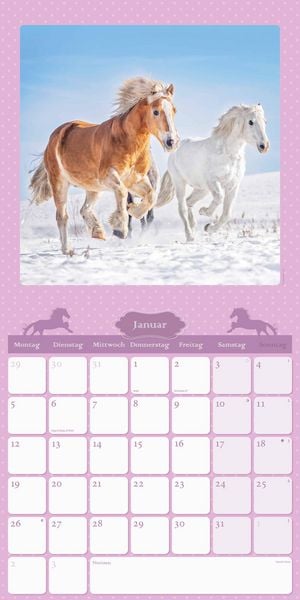 Mein Pferdekalender 2026 - Broschürenkalender 30x30 cm (30x60 geöffnet) - Kalender mit Platz für Notizen - Bildkalender - Wandplaner - Wandkalender