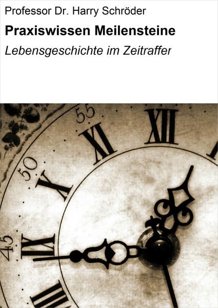 Produktbild: Praxiswissen Meilensteine