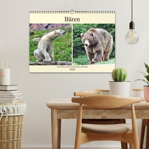 Produktbild: B&auml;ren - Der Eisb&auml;r und der Kamtschatka-Braunb&auml;r (Wandkalender 2026 DIN A3 quer), CALVENDO Monatskalender