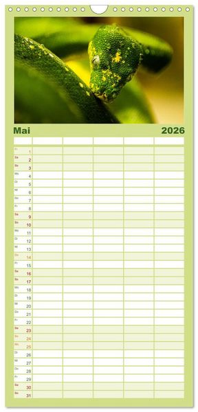 Produktbild: Familienplaner 2026 - Reptilien & Amphibien Portraits mit 5 Spalten (Wandkalender, 21 x 45 cm) CALVENDO