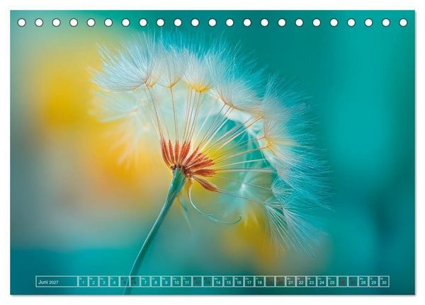 Produktbild: Lichtspiele der Natur (Tischkalender 2027 DIN A5 quer), CALVENDO Monatskalender