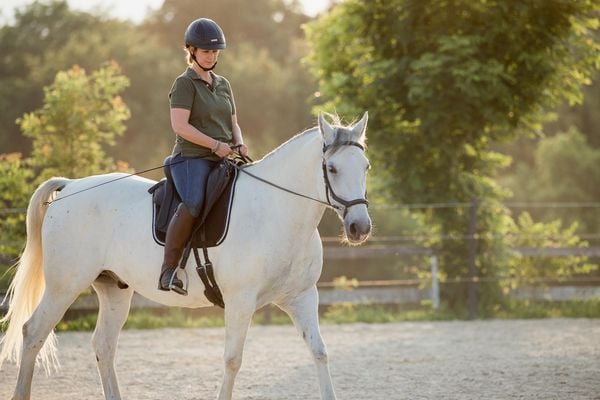 Einfach (An)Reiten