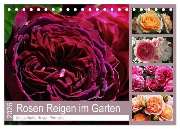 Produktbild: Rosen Reigen im Garten (Tischkalender 2026 DIN A5 quer), CALVENDO Monatskalender
