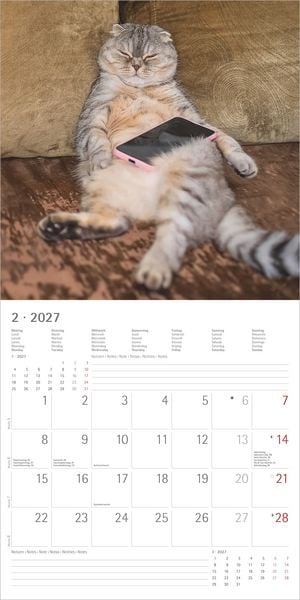 Produktbild: Funny Cats 2027