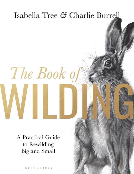 Produktbild: The Book of Wilding