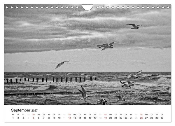 Produktbild: Ostseebad Zingst - Impressionen in Schwarz-Wei&szlig; (Wandkalender 2027 DIN A4 quer), CALVENDO Monatskalender