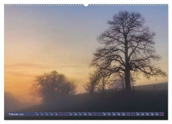 Produktbild: Augenschmaus Pf&auml;lzer Wald (Wandkalender 2026 DIN A2 quer), CALVENDO Monatskalender