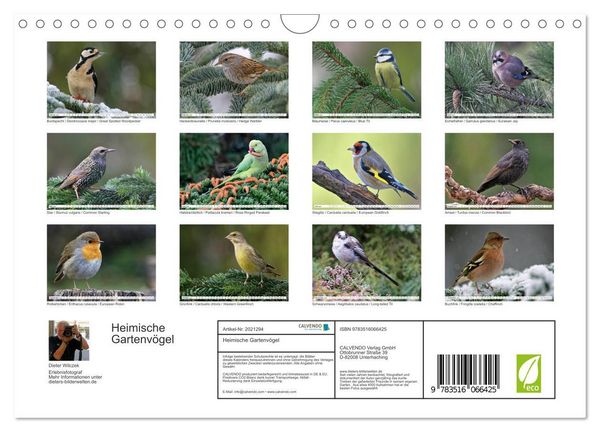 Produktbild: Heimische Gartenv&ouml;gel (Wandkalender 2026 DIN A4 quer), CALVENDO Monatskalender
